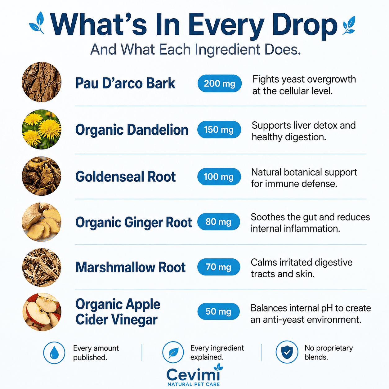 Cevimi Yeast Reset + Itch Relief Drops