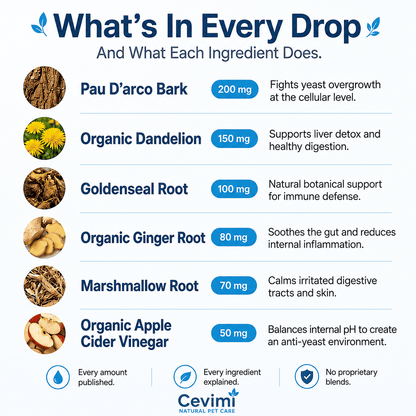 Cevimi Yeast Reset + Itch Relief Drops